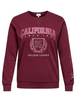 CARBEN Sudaderas