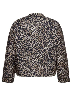 CARHALLIE Chaqueta acolchada