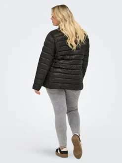 CARVEGA Chaqueta acolchada