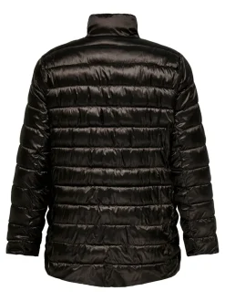 CARVEGA Chaqueta acolchada