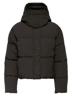 JDYNARNI Chaqueta corta acolchada
