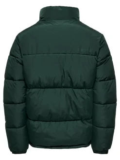 ONSMELVIN Chaqueta corta acolchada