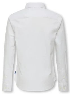 OSJALVARO Camisa Oxford