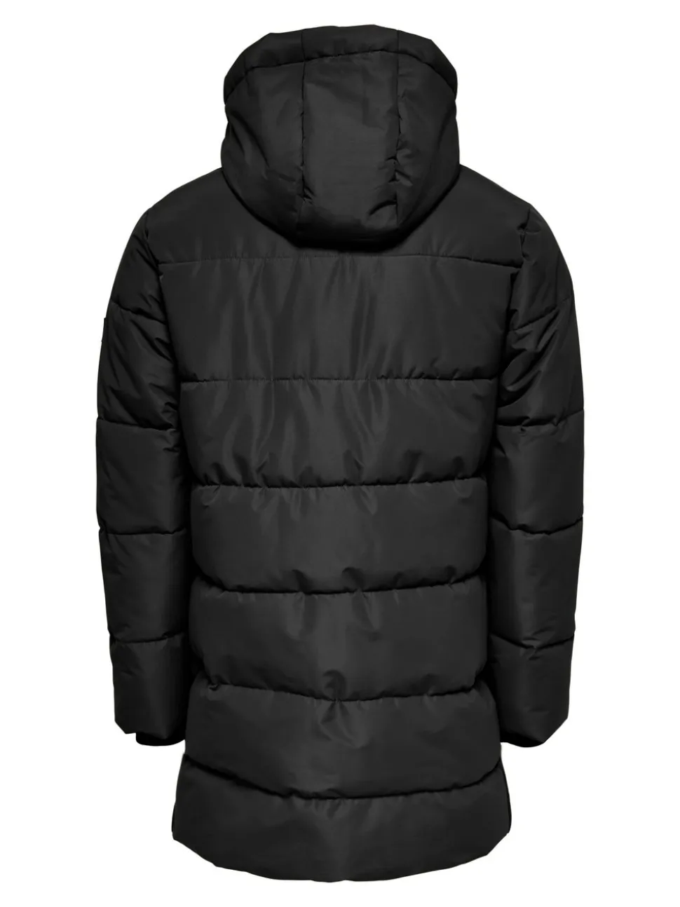 OSJCARL Chaqueta corta acolchada